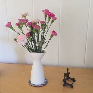 Meet your Posher, Liza